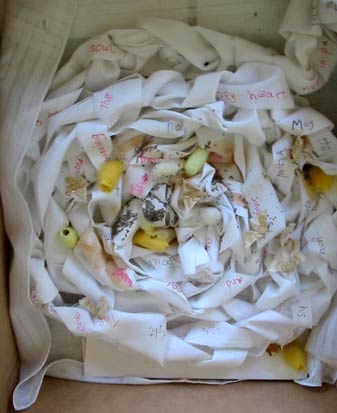 Click to start the slide show